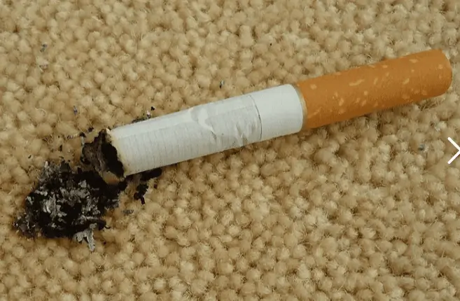 cigarette-burn-carpet-1