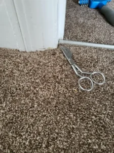 pet damaged carpet in door repaired